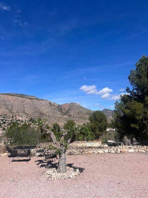 Casa Dusena Estrella Apartment Hondon de las Nieves Bagian luar foto